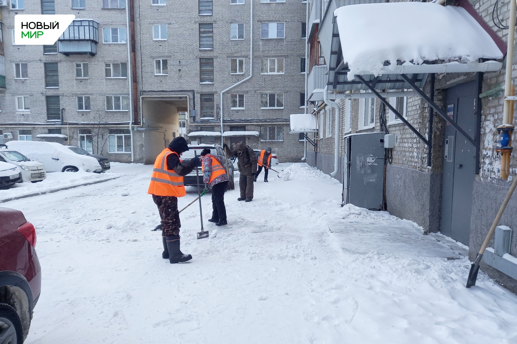 В Кургане «санитарный патруль» состояние дворов после снегопада |  12.01.2024 | Курган - БезФормата